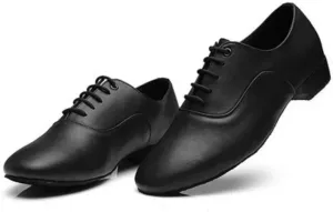 Men's Latin Dance Shoes Men Dance Shoes Latin Ballroom Dance Shoes Low Heel Modern Indoor Men Tango Waltz Salsa Danicng Shoes(Black,39)
