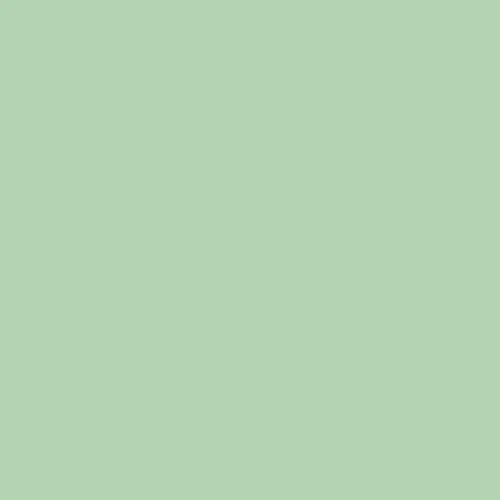 Sage Sport Brief